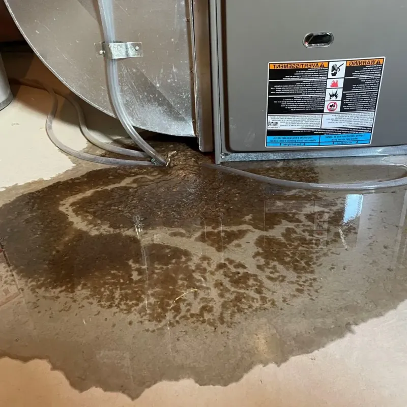 Pipe Burst and Leak Restoration in Donovan Estates, AZ